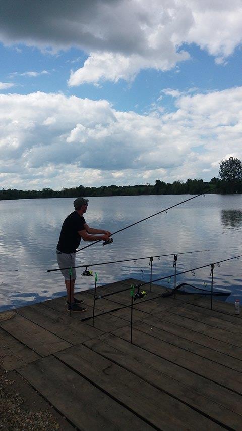 Pestisori - 188352361481561035241582653947431n.jpg